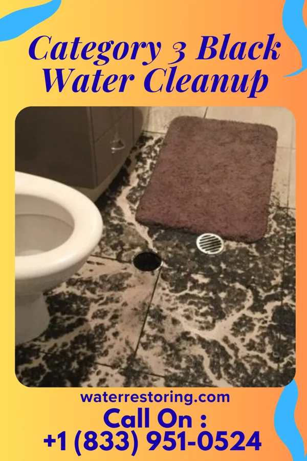 Category 3 Black Water Cleanup in Washington, PA