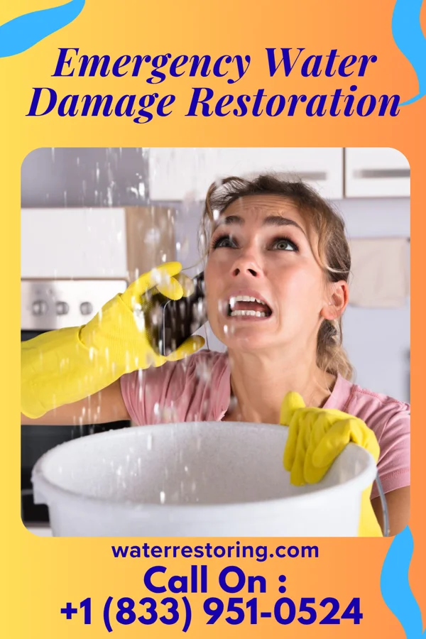 Emergency Water Damage Restoration in Washington, PA
