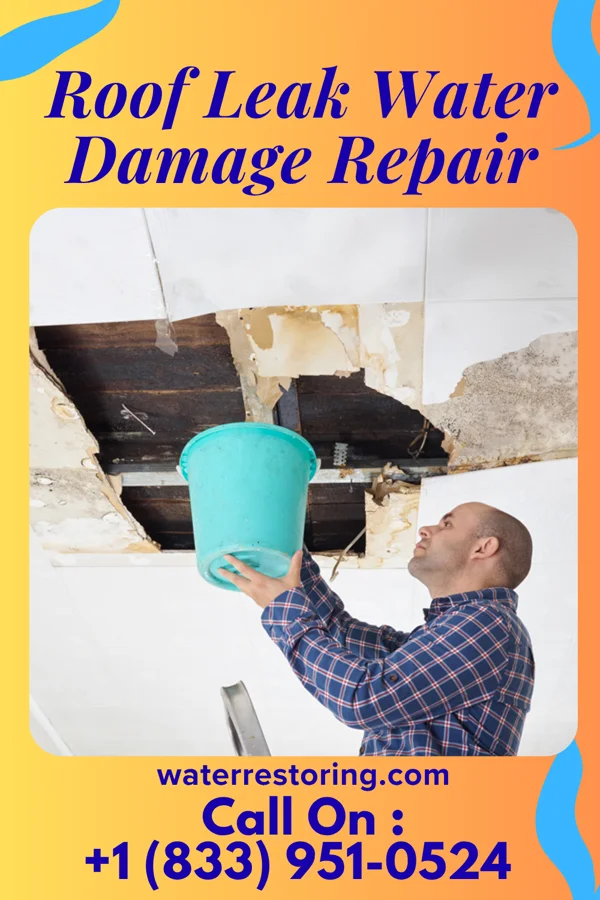 Roof Leak Water Damage Repair in Washington, PA