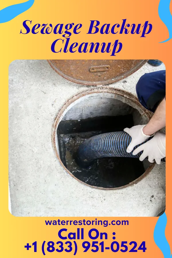 Sewage Backup Cleanup in Washington, PA